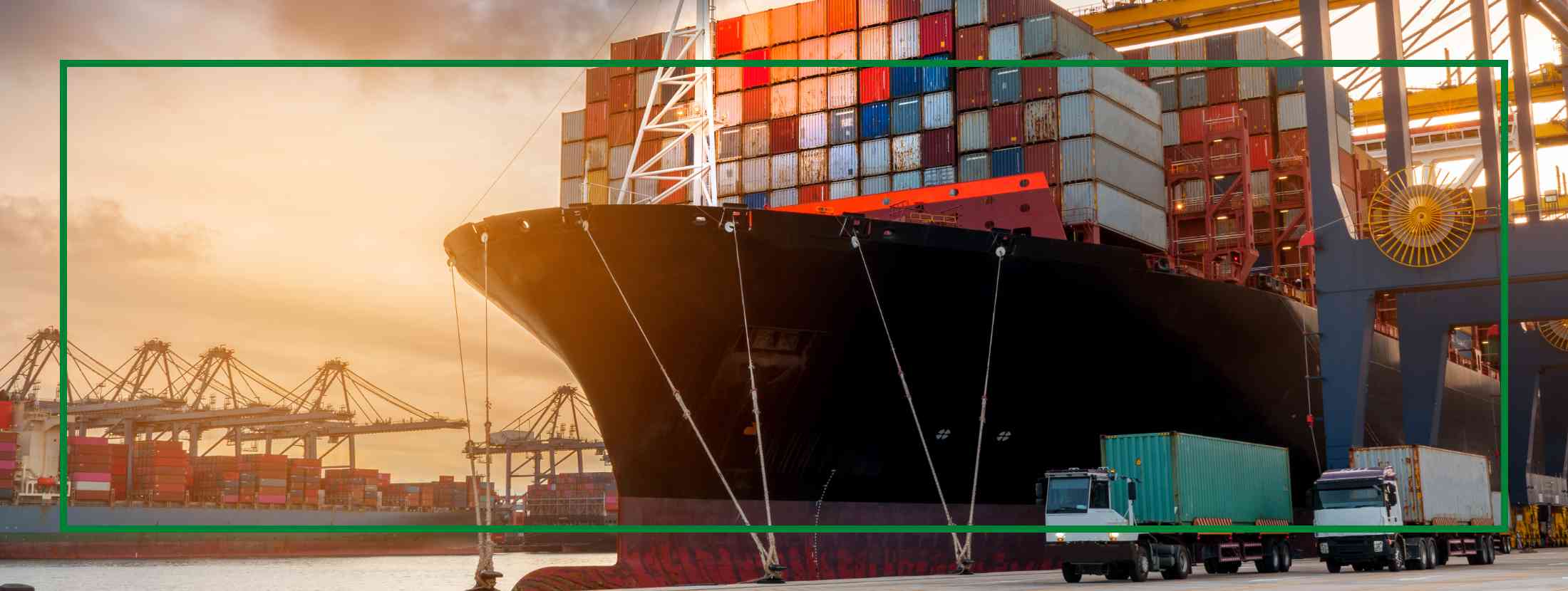 Container Shipping vs. Pallet Shipping: Key Strategies & Tips
